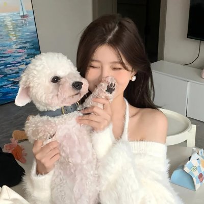 盗贼生涯